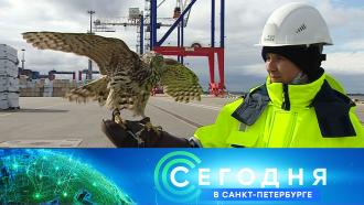 28 ������ 2021 ����. 19:20.28 ������ 2021 ����. 19:20.���.Ru: �������, �����, ��������� ���������� ���