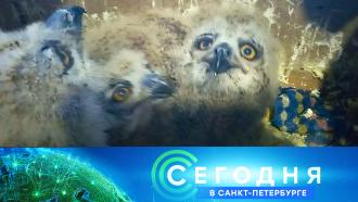 29 ������ 2021 ����. 19:20.29 ������ 2021 ����. 19:20.���.Ru: �������, �����, ��������� ���������� ���