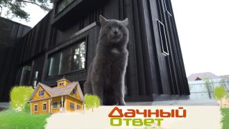 ��� �&nbsp;����: ������� ������� ��� ������ �������&nbsp; �&nbsp;����������� �&nbsp;&laquo;������ ������&raquo;.���.Ru: �������, �����, ��������� ���������� ���