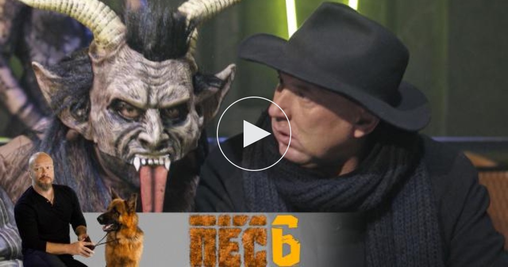 Когда выйдет продолжение пес. Когда выйдет продолжение пес. Когда выйдет продолжение пес. Шеймус собака финч. Популярная собака 2023.