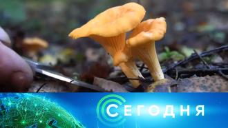 Что сейчас с набиуллиной. Смотреть фото Что сейчас с набиуллиной. Смотреть картинку Что сейчас с набиуллиной. Картинка про Что сейчас с набиуллиной. Фото Что сейчас с набиуллиной