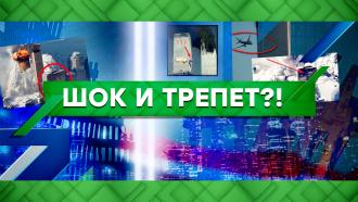 Аль каида что с ней сейчас. MV main. Аль каида что с ней сейчас фото. Аль каида что с ней сейчас-MV main. картинка Аль каида что с ней сейчас. картинка MV main