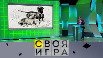 своя игра за сегодняшний день. Смотреть фото своя игра за сегодняшний день. Смотреть картинку своя игра за сегодняшний день. Картинка про своя игра за сегодняшний день. Фото своя игра за сегодняшний день
