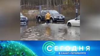 видео что такое ураган. Смотреть фото видео что такое ураган. Смотреть картинку видео что такое ураган. Картинка про видео что такое ураган. Фото видео что такое ураган