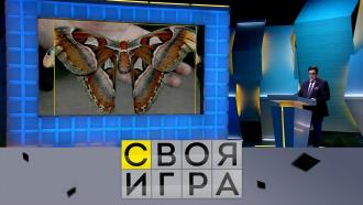 своя игра за сегодняшний день. Смотреть фото своя игра за сегодняшний день. Смотреть картинку своя игра за сегодняшний день. Картинка про своя игра за сегодняшний день. Фото своя игра за сегодняшний день