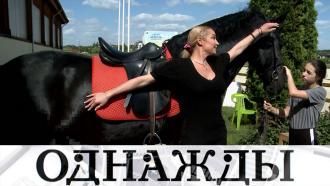 ������������ ������ �����, �&nbsp;�����&nbsp; �������� ������� ����������. &laquo;��������&raquo;&nbsp; 15&nbsp;������ �� ���.���.Ru: �������, �����, ��������� ���������� ���