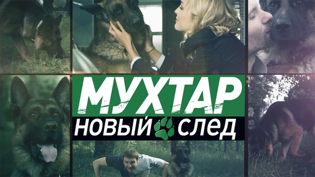 Мухтар. Новый след Мухтар. Новый след