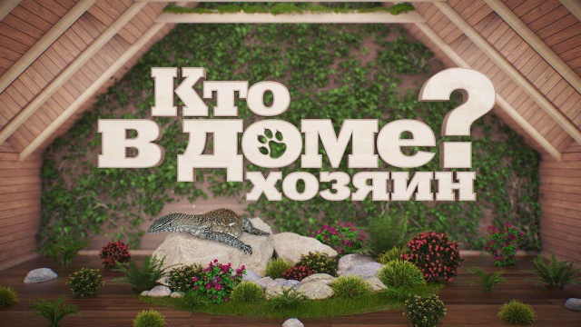 Кто в Доме хозяин? Кто в Доме хозяин?