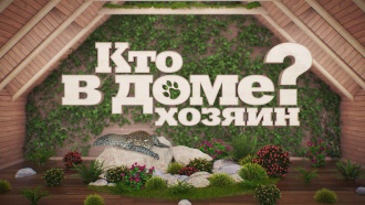 ��� � ���� ������?
��� ����� ����� ���� �&nbsp;�������� ��������?